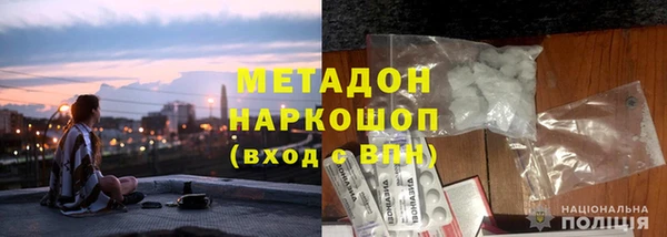 ПСИЛОЦИБИНОВЫЕ ГРИБЫ Арсеньев