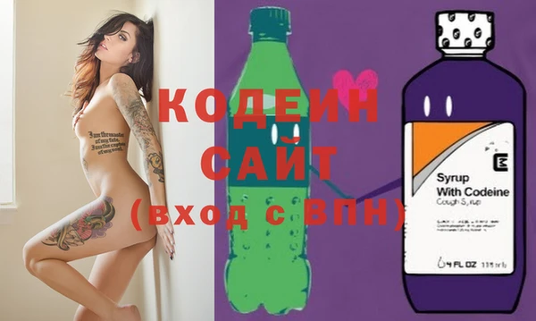 ПСИЛОЦИБИНОВЫЕ ГРИБЫ Арсеньев