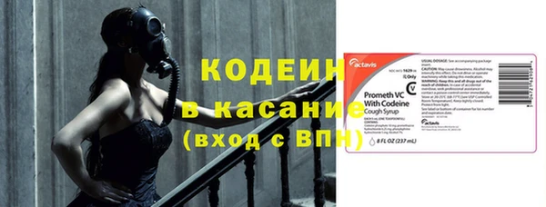 ПСИЛОЦИБИНОВЫЕ ГРИБЫ Арсеньев