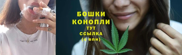 ПСИЛОЦИБИНОВЫЕ ГРИБЫ Арсеньев