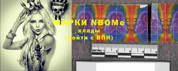 ПСИЛОЦИБИНОВЫЕ ГРИБЫ Арсеньев