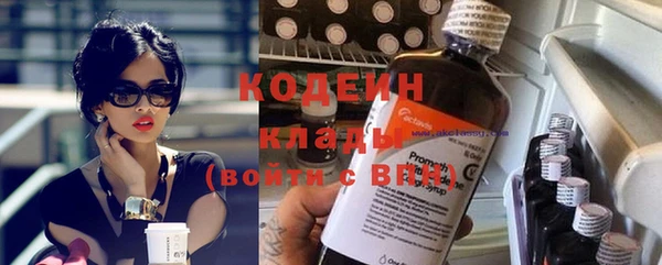 ПСИЛОЦИБИНОВЫЕ ГРИБЫ Арсеньев